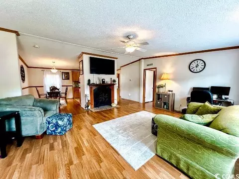 347 Bright Leaf Rd, Loris, SC 29569 photo 6