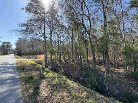 tbd Copperhead Rd, Conway, SC 29527 photo 3