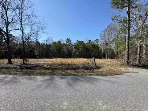 tbd Copperhead Rd, Conway, SC 29527 photo 4