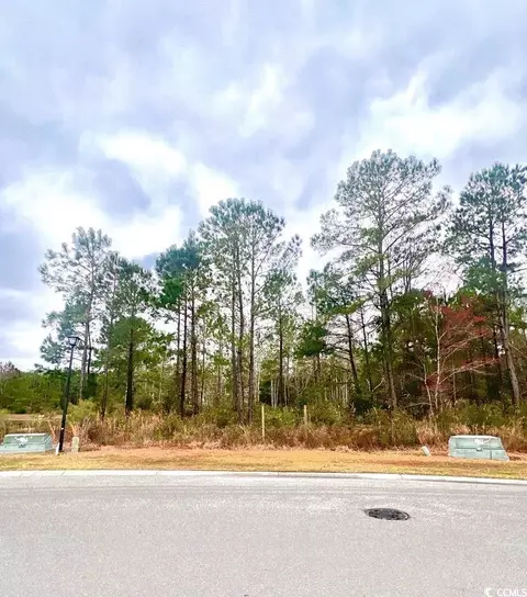 3041 New Castle Loop, Myrtle Beach, SC 29588