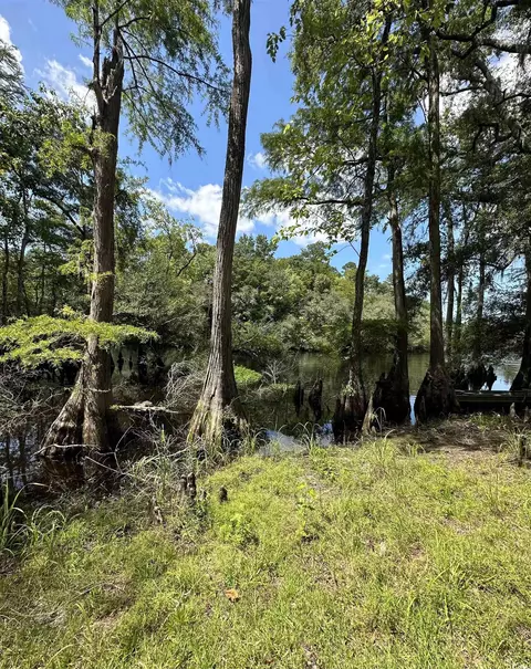 Tbd Black Island Rd., Galivants Ferry, SC 29544