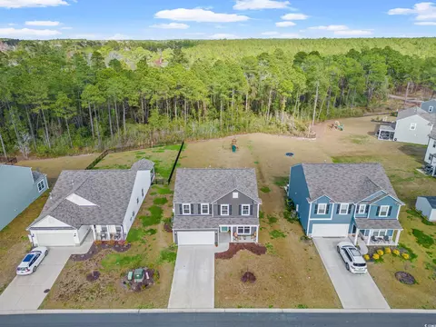View/Area - 637 Heritage Downs Dr, Conway, SC 29526 photo 2 of 3