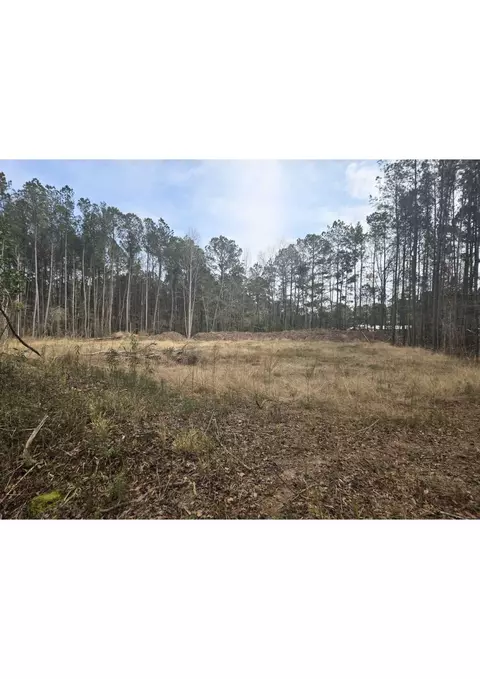 861 Windham Rd, Loris, SC 29569 photo 3