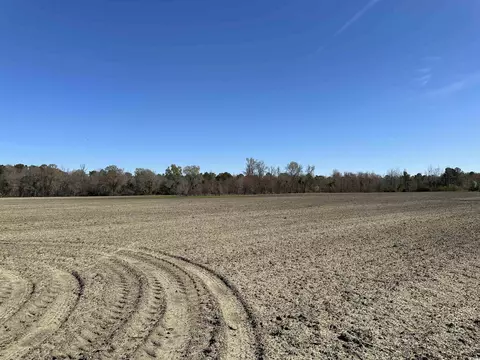 Tbd Spamm Rd., Greeleyville, SC 29056