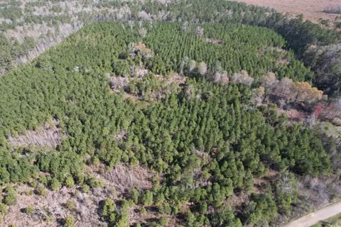 tbd Goins Rd, Greeleyville, SC 29056