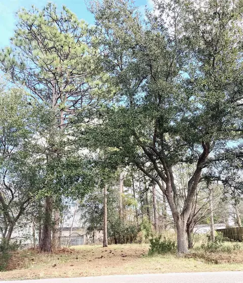 108 Sassafras Ln, Conway, SC 29526