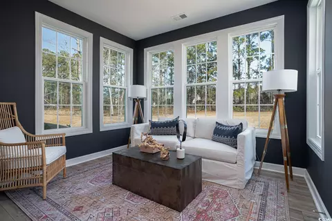 Living - 108 Azure Loop, Myrtle Beach, SC 29588 photo 3 of 4
