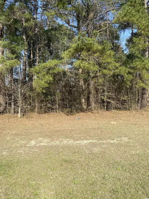tbd Church St, Loris, SC 29569 photo 3