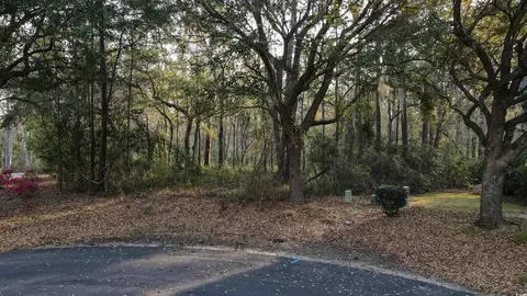 60 Harvest Ct, Pawleys Island, SC 29585