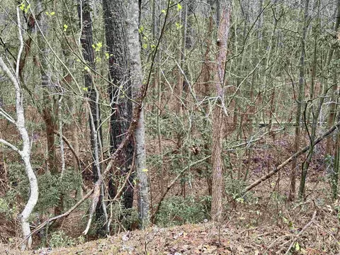 7258 Fore Ct, Mullins, SC 29574 photo 8