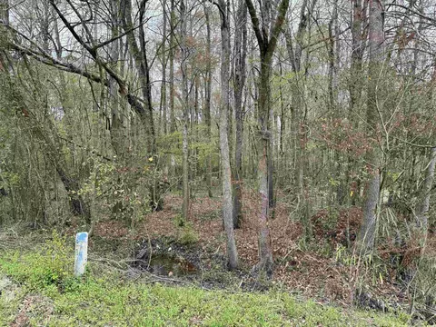 7258 Fore Ct, Mullins, SC 29574 photo 12