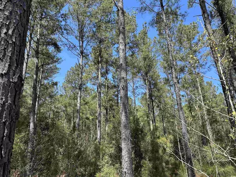 Tbd Easler Hwy, Greeleyville, SC 29056