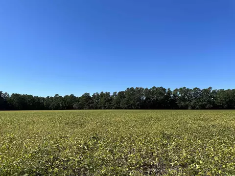 tbd Highway 527, Andrews, SC 29510