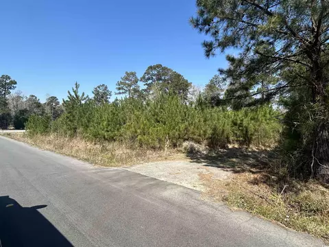 Tbd Juniper Pl., Georgetown, SC 29440