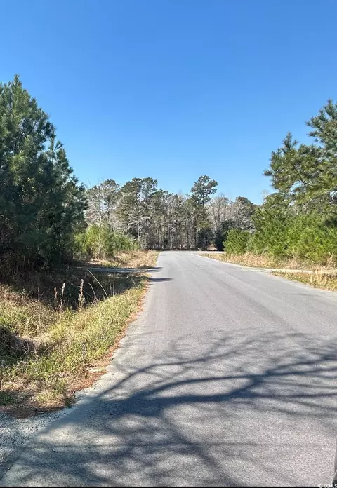 Tbd Juniper Pl., Georgetown, SC 29440