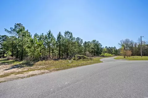 tbd Pebble Ln, Conway, SC 29526 photo 11