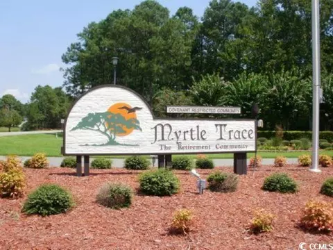 104 Berry Tree Ln, Conway, SC 29526 photo 32