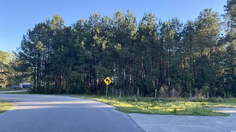 Tbd Thomas Rd., Little River, SC 29566