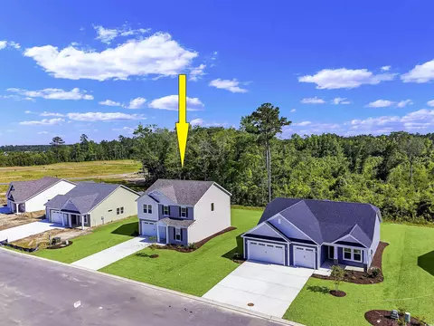 124 Little Cedar Dr, Loris, SC 29569 photo 27