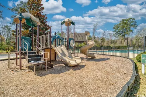 144 Long Leaf Pine Dr, Conway, SC 29526 photo 36