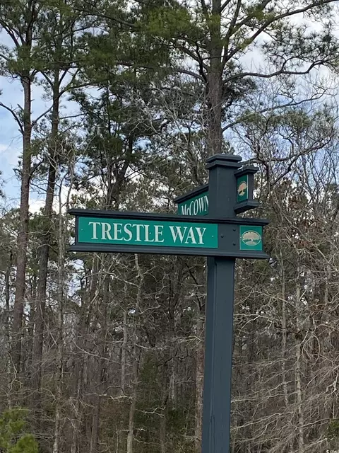491 Trestle Way, Conway, SC 29526
