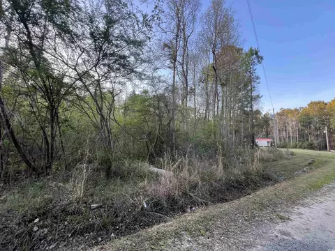 tbd Foxfire Ct, Georgetown, SC 29440 photo 4