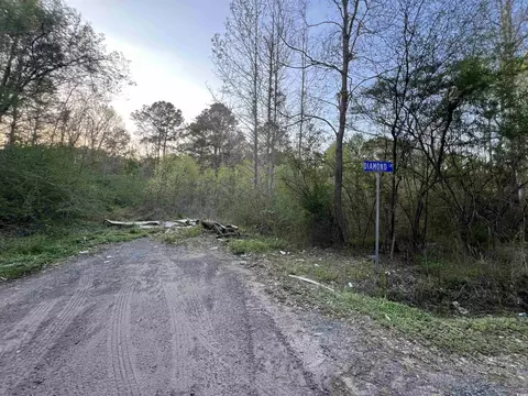 tbd Foxfire Ct, Georgetown, SC 29440 photo 5