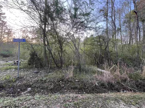tbd Foxfire Ct, Georgetown, SC 29440 photo 3