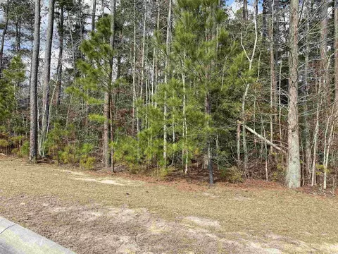 495 Trestle Way, Conway, SC 29526