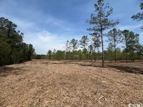 tbd Huckleberry Rd, Galivants Ferry, SC 29544