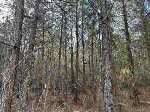 Tbd Heatherwood Rd., Marion, SC 29571