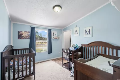 3619 W Bear Grass Rd, Loris, SC 29569 photo 23