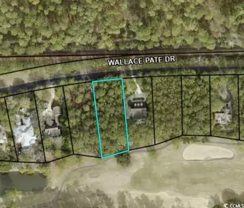 lot105 Wood Wallace Pate Dr, Georgetown, SC 29440