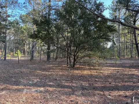 tbd Lot 1 Mcnabb Short Cut Rd, Loris, SC 29569