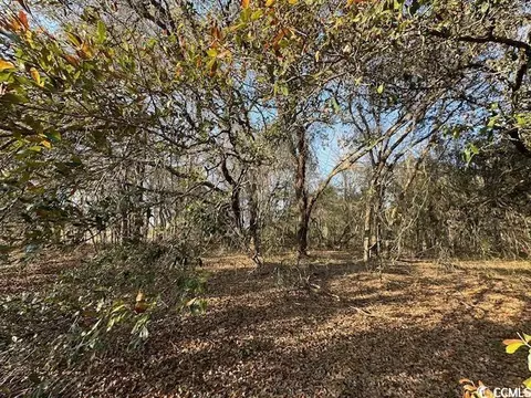 tbd Lot 2 Mcnabb Short Cut Rd, Loris, SC 29569
