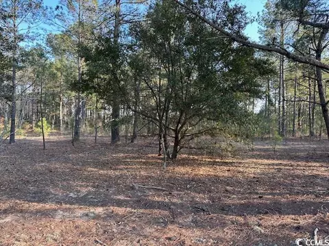 tbd Lot 3 Mcnabb Shortcut Rd, Loris, SC 29569