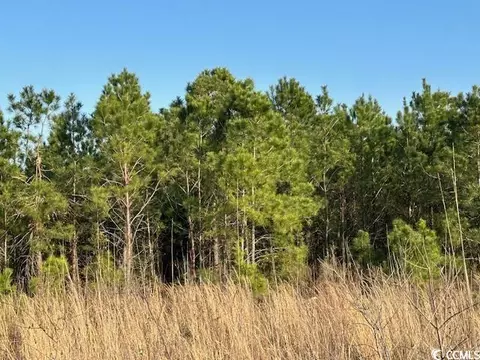 tbd Lot 4 Mcnabb Shortcut Rd, Loris, SC 29569