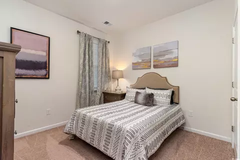 209 Teddy Bear Cir, Conway, SC 29526 photo 6