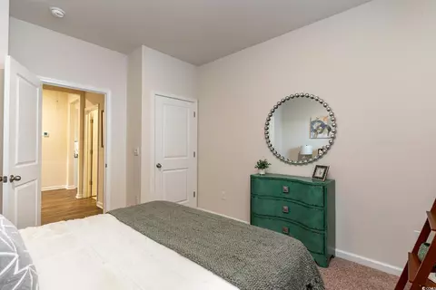 209 Teddy Bear Cir, Conway, SC 29526 photo 10