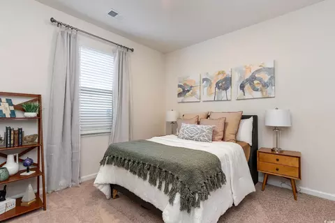209 Teddy Bear Cir, Conway, SC 29526 photo 9