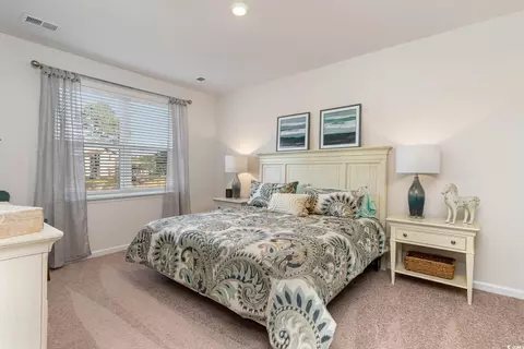 209 Teddy Bear Cir, Conway, SC 29526 photo 19