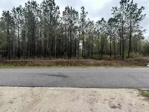 Tbd Huckleberry Rd., Galivants Ferry, SC 29544