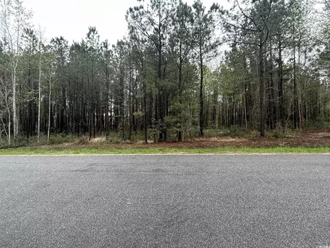 Tbd Huckleberry Rd., Galivants Ferry, SC 29544