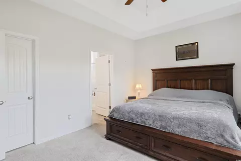 Bedroom - 339 Palm Terrace Loop, Conway, SC 29526 photo 2 of 6