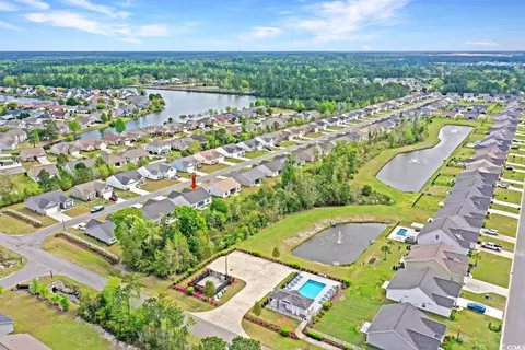 View/Area - 339 Palm Terrace Loop, Conway, SC 29526 photo 1 of 4