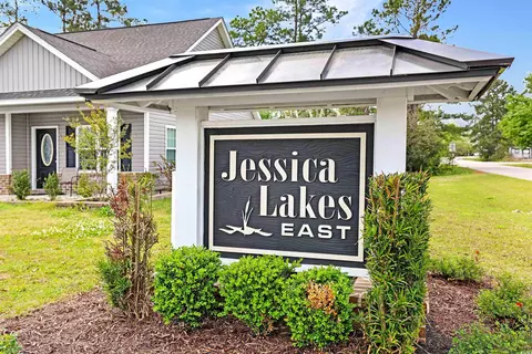 View/Area - 339 Palm Terrace Loop, Conway, SC 29526 photo 4 of 4