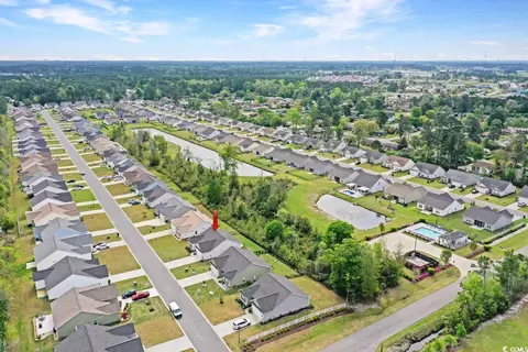 View/Area - 339 Palm Terrace Loop, Conway, SC 29526 photo 2 of 4