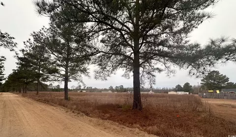 lot H Lexyryan Ct, Latta, SC 29565