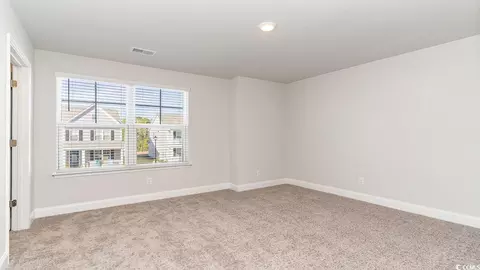 Other - 1013 Beechfield Ct, Conway, SC 29526 photo 14 of 14