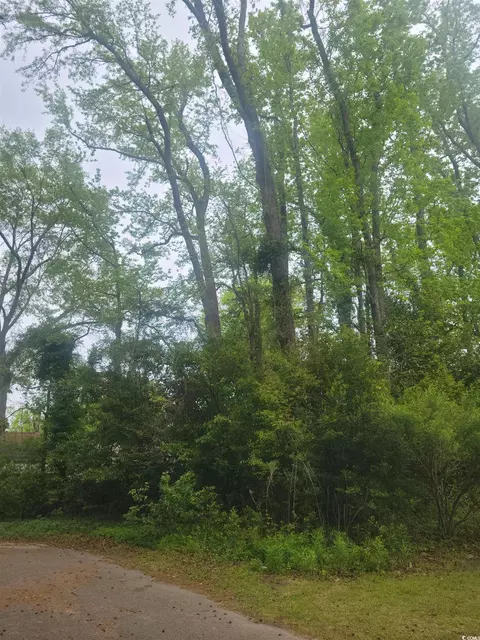 29 Th Ave S, Atlantic Beach, SC 29582